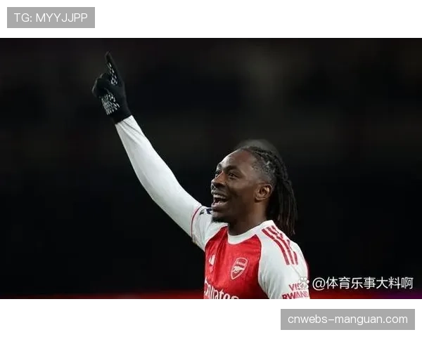 阿森纳主场酋长球场完成草皮与照明系统升级，以应对欧冠密集赛程